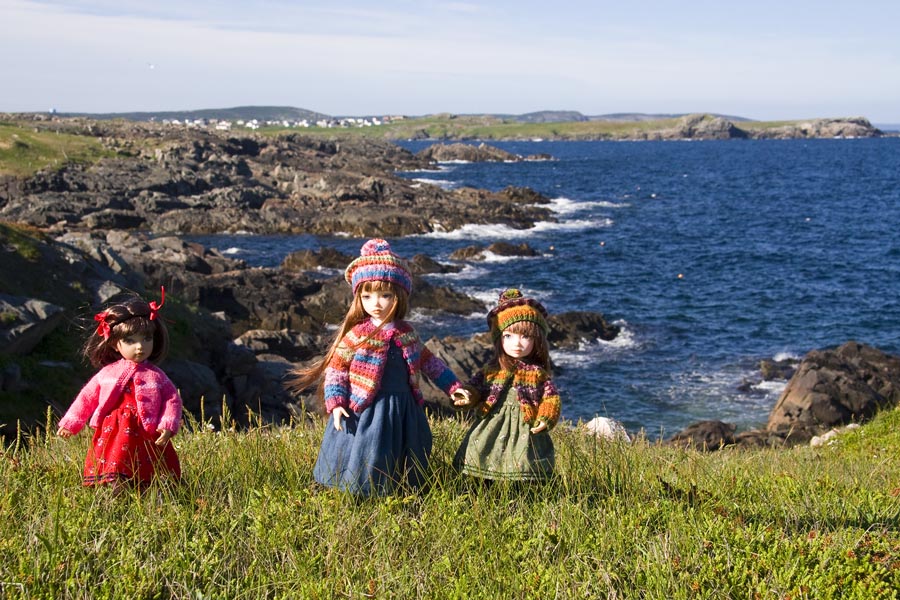 Exploring the Cape